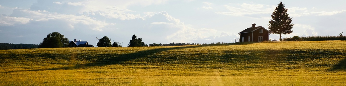 Project: Rural Roots Resilient Action | ThriveTogether